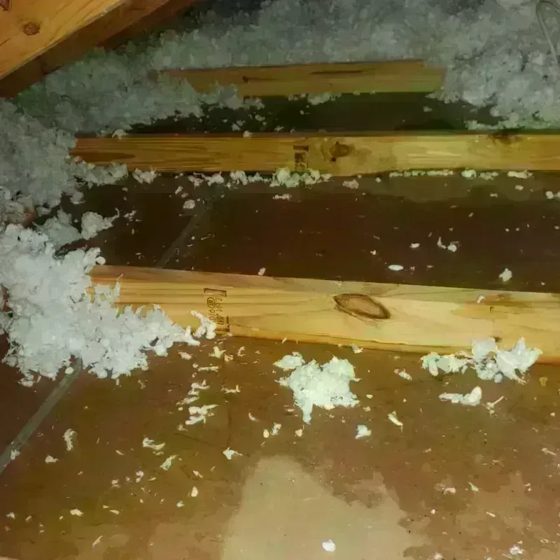 Attic Water Damage in Hartford, WI