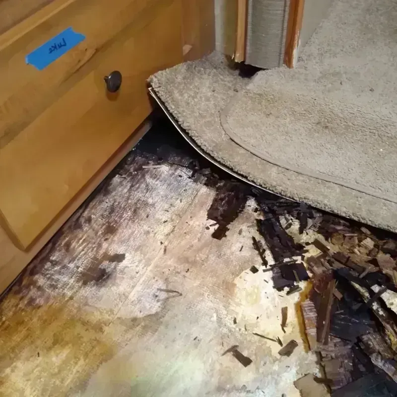 Wood Floor Water Damage in Hartford, WI